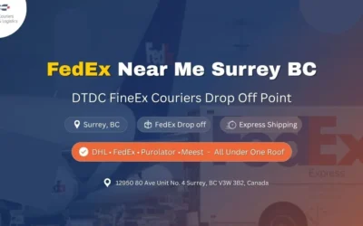 Find Reliable FedEx Near Me: DTDC FineEx Couriers Your Trusted Partner