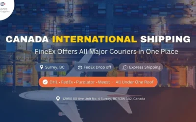 Canada International Shipping Made Easy: FineEx Offers All Major Couriers in One Place